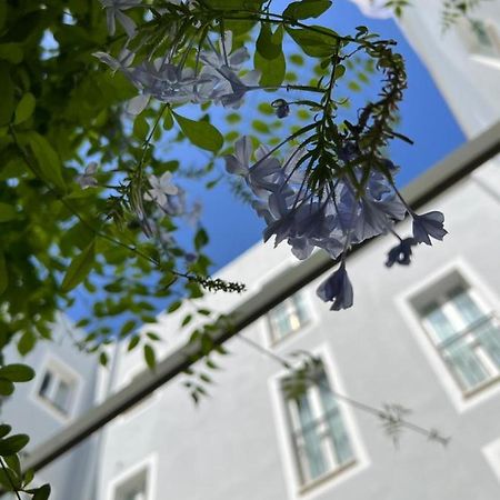 Hotel San Miguel Menorca Mahón Exterior foto