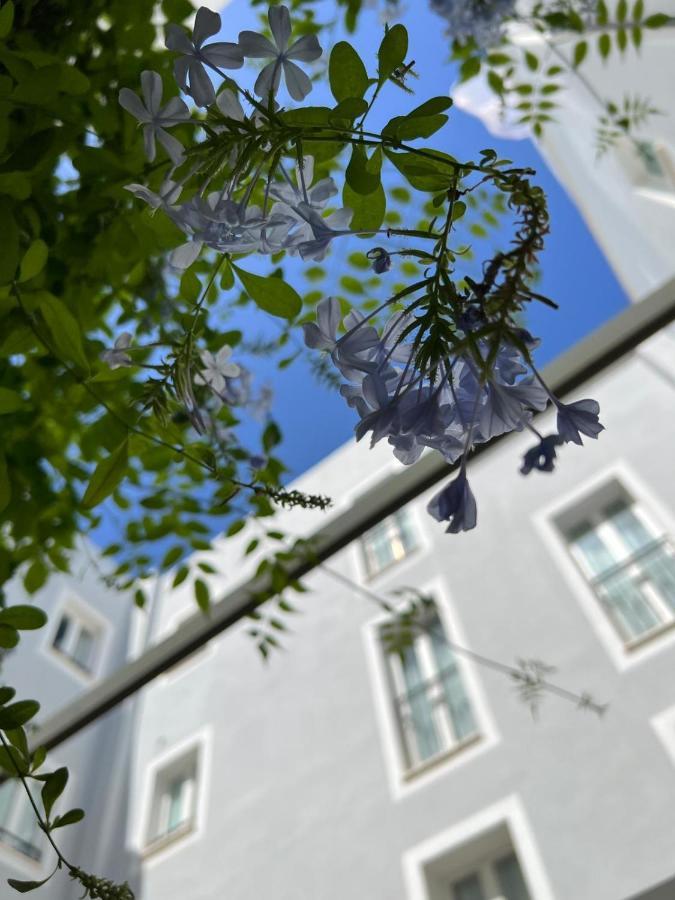 Hotel San Miguel Menorca Mahón Exterior foto